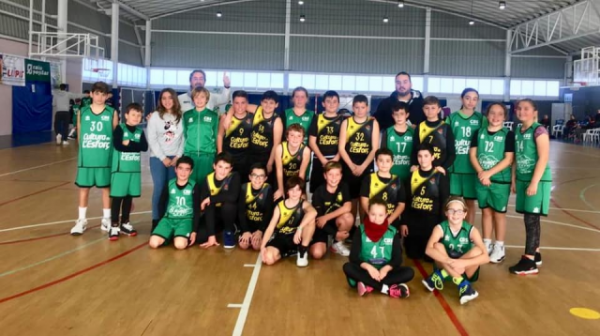 Torneig de Reis Torneig de Reis